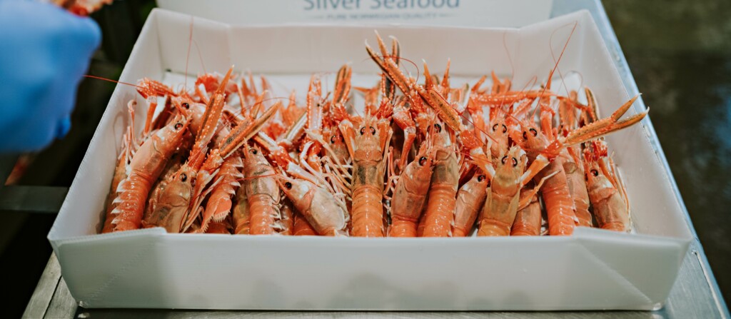 Customer case - Silver Seafood