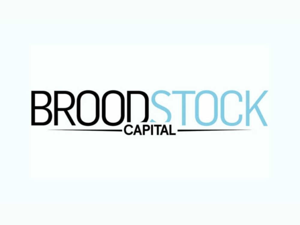 Broodstock capital partners logo