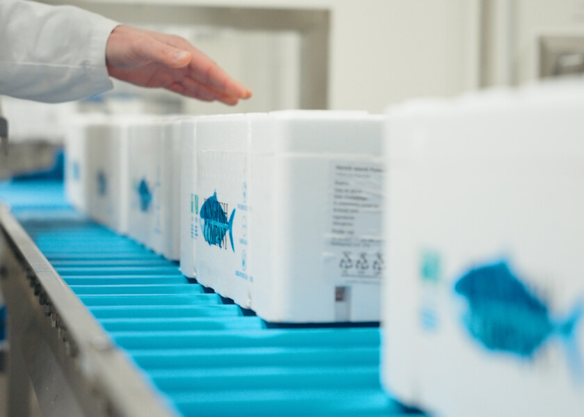 News! Production Scheduling Built for Seafood Processors